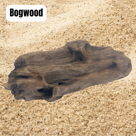 bogwood
