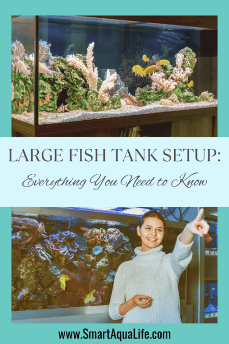 large fish tank