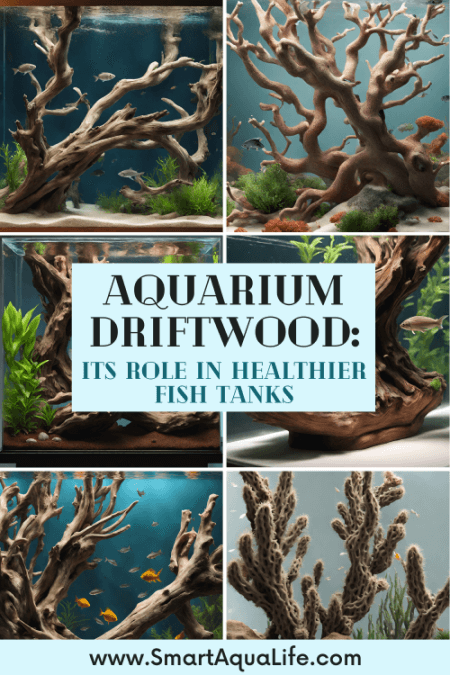 aquarium driftwood