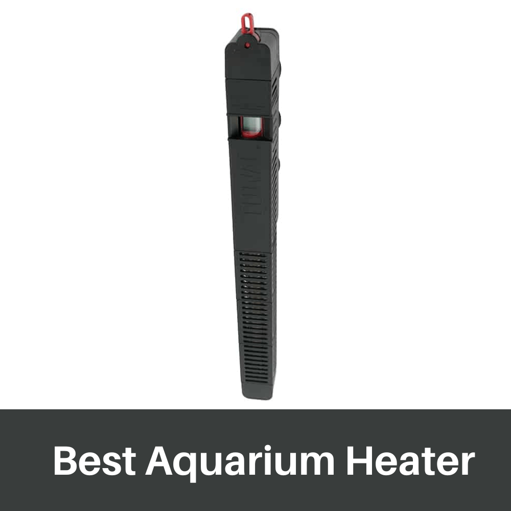 best aquarium heater