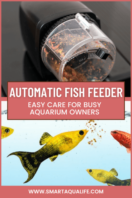 automatic fish feeder